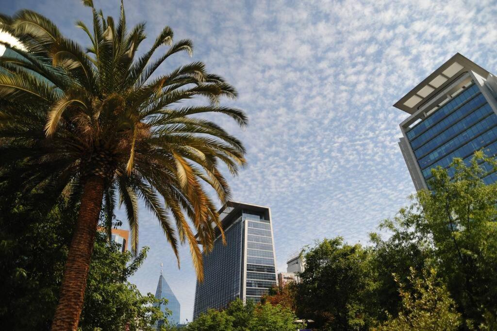 Jardin Privado Familias Y Trabajo Apartamento Santiago