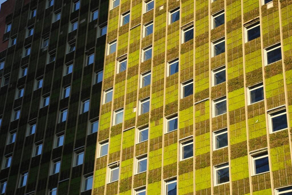 Apartamento Jardin Privado Familias Y Trabajo *