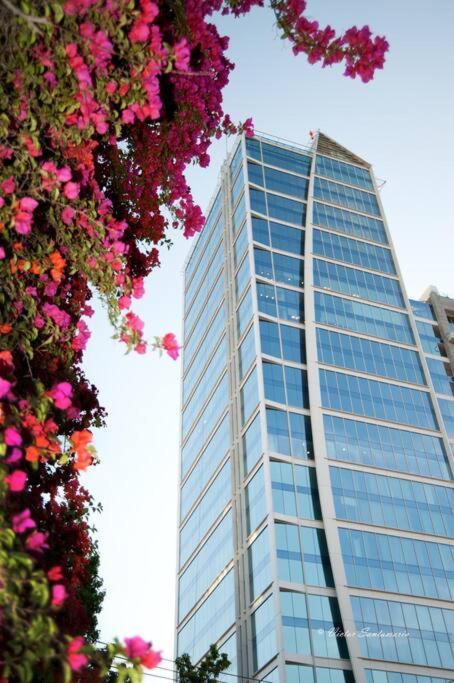 Jardin Privado Familias Y Trabajo Apartamento Santiago