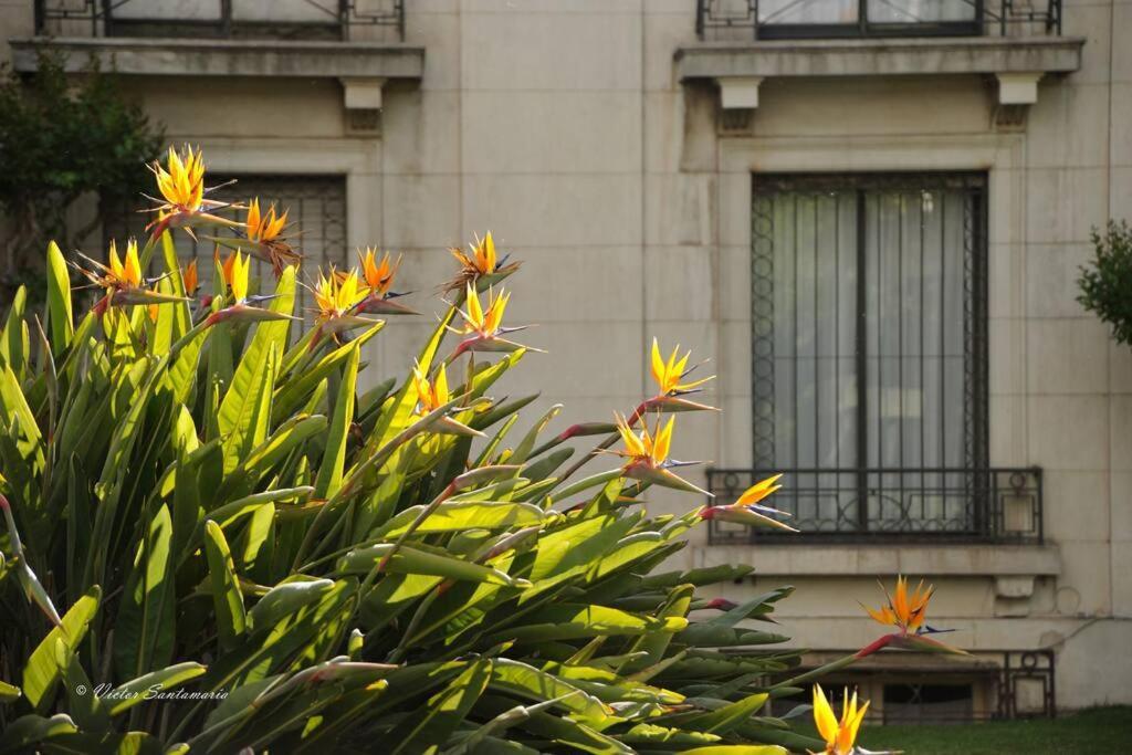 Apartamento Jardin Privado Familias Y Trabajo